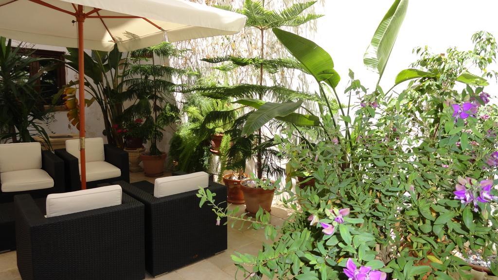 B&B Corti Carmela Gallipoli Dış mekan fotoğraf